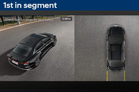 surround view monitor