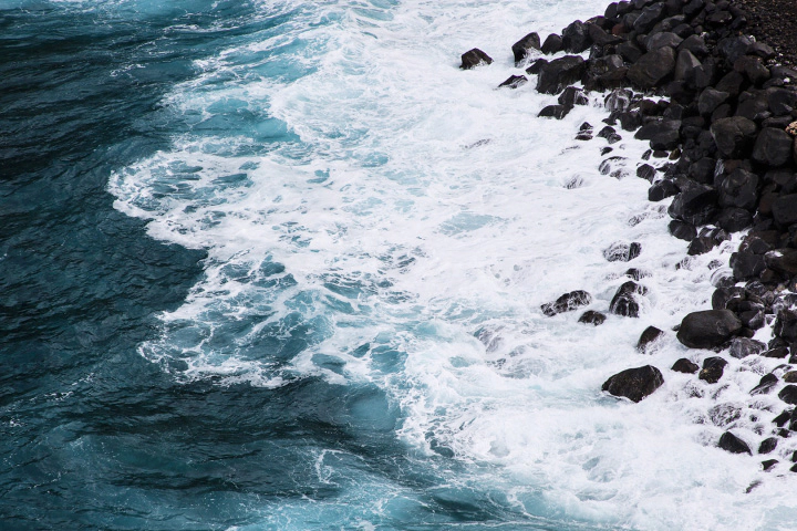 지속가능성보고서 이미지