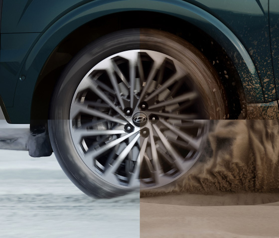 Drive Mode / Terrain Mode (Auto, Mud, Sand, Snow)