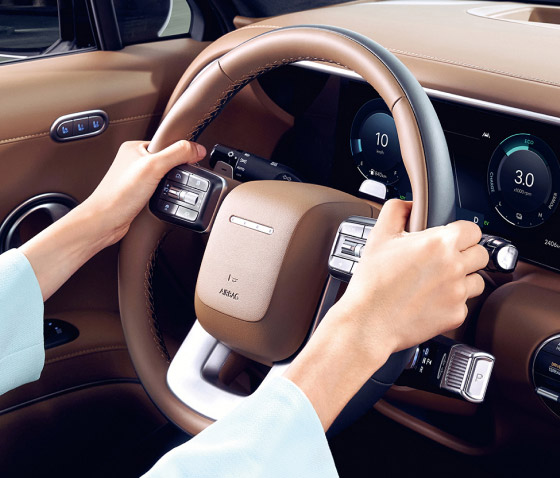 Steering Wheel Grip Detection