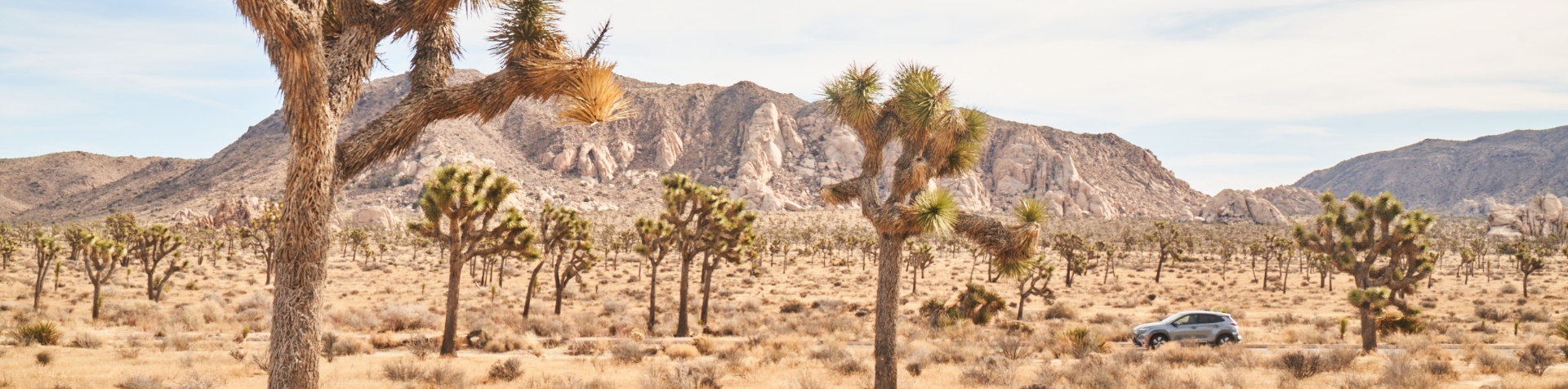 Classrooms in the Wild