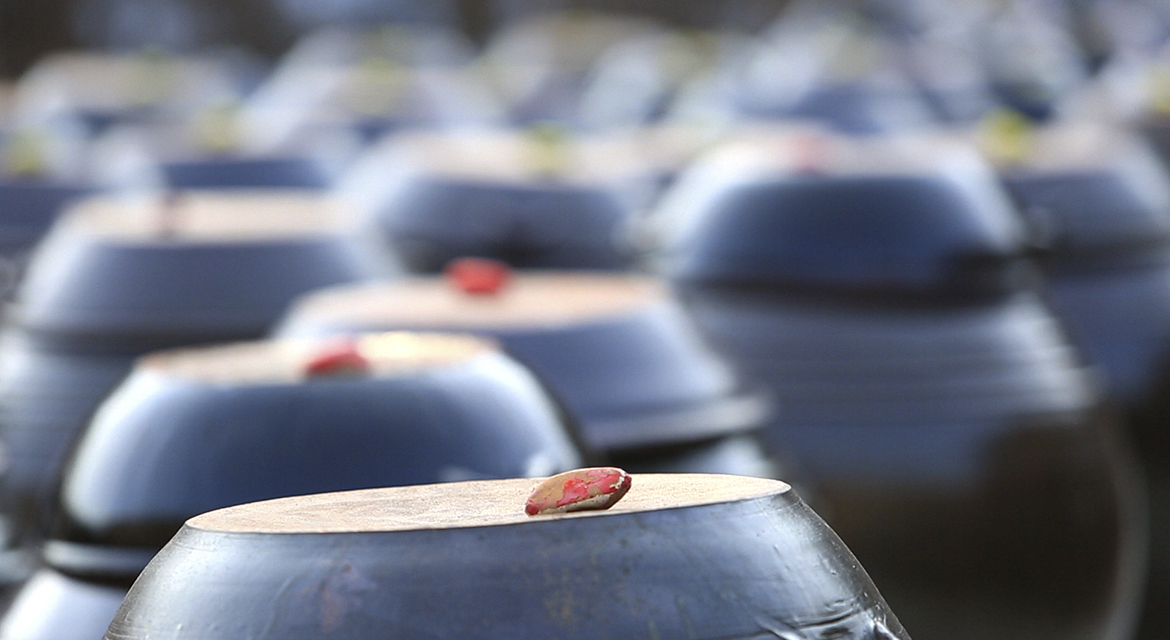 Clay pots - or hangari - are used to age liqors, resulting in different flavors for different seasons ©  Korean Educational Broadcasting System