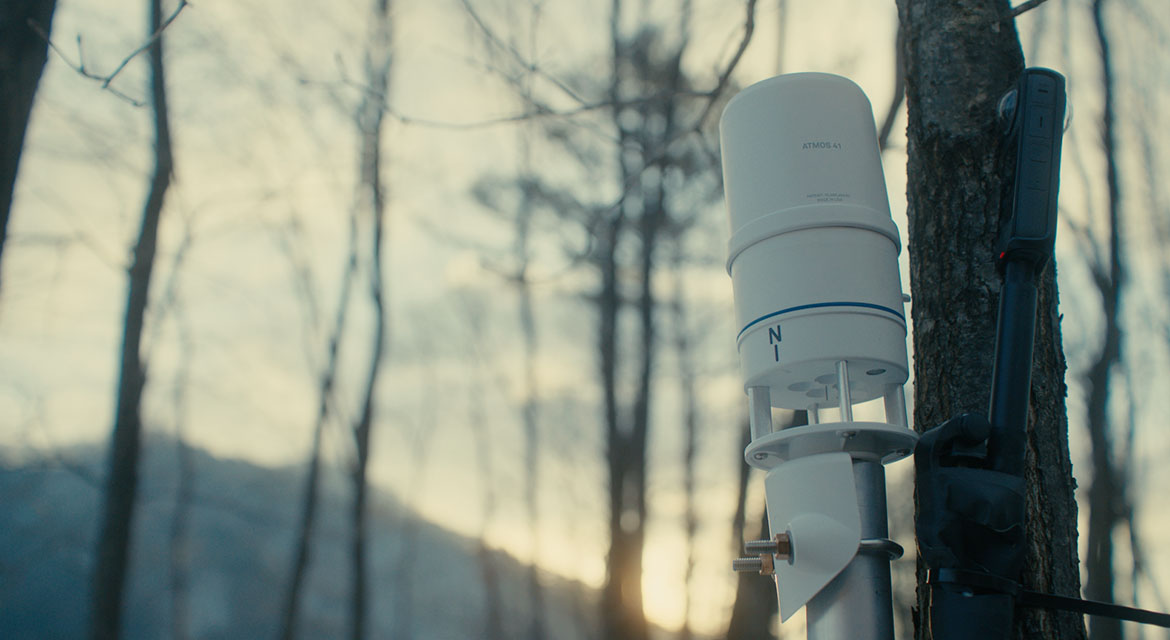 Hyundai Motor's brand campaign, Tree Correspondents