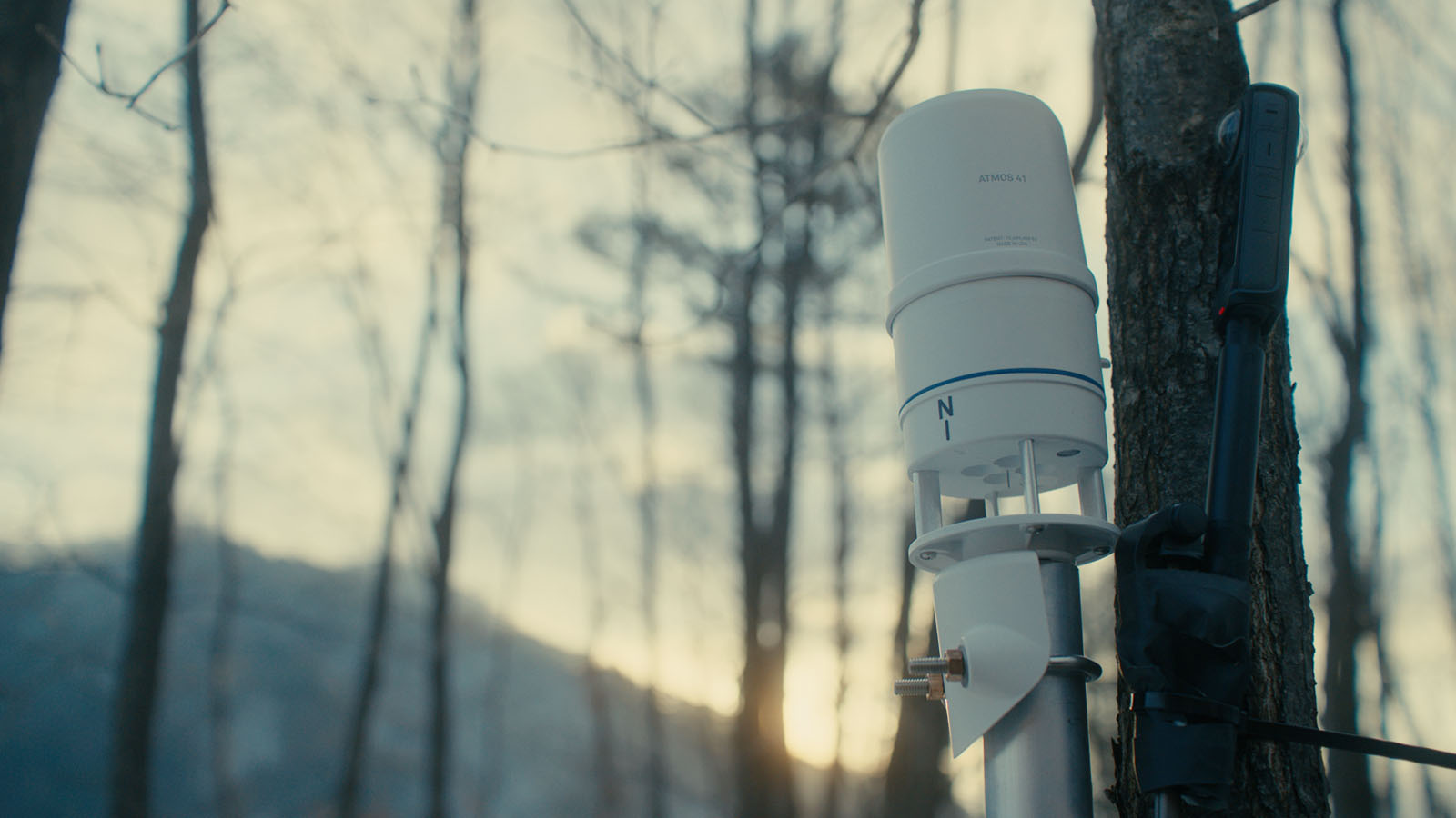 Hyundai Motor's brand campaign, Tree Correspondents