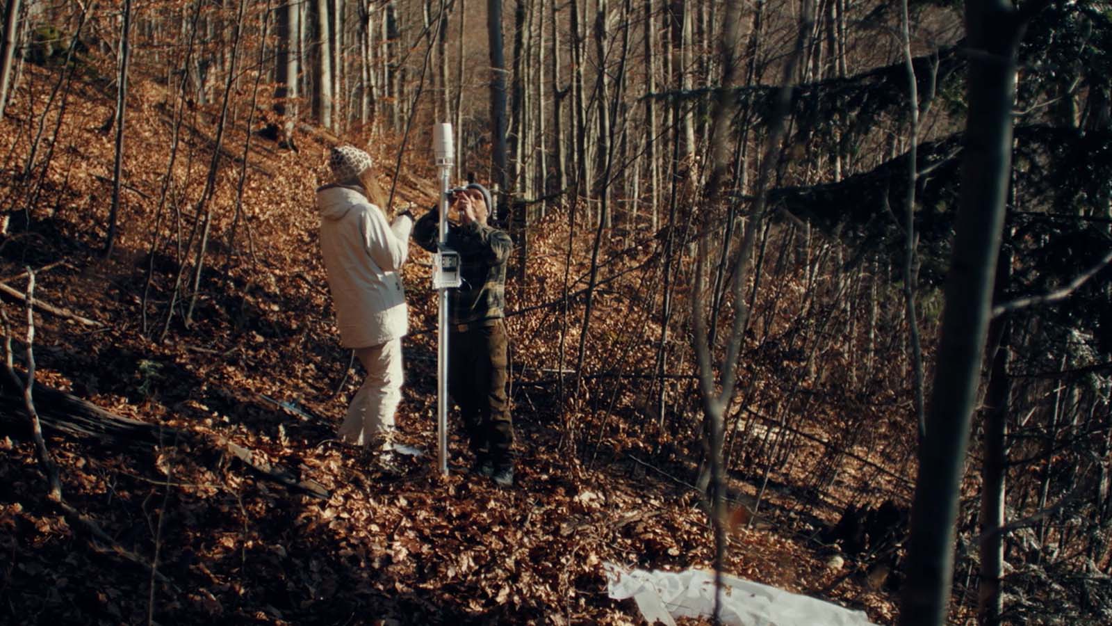 Hyundai Motor's brand campaign, Tree Correspondents