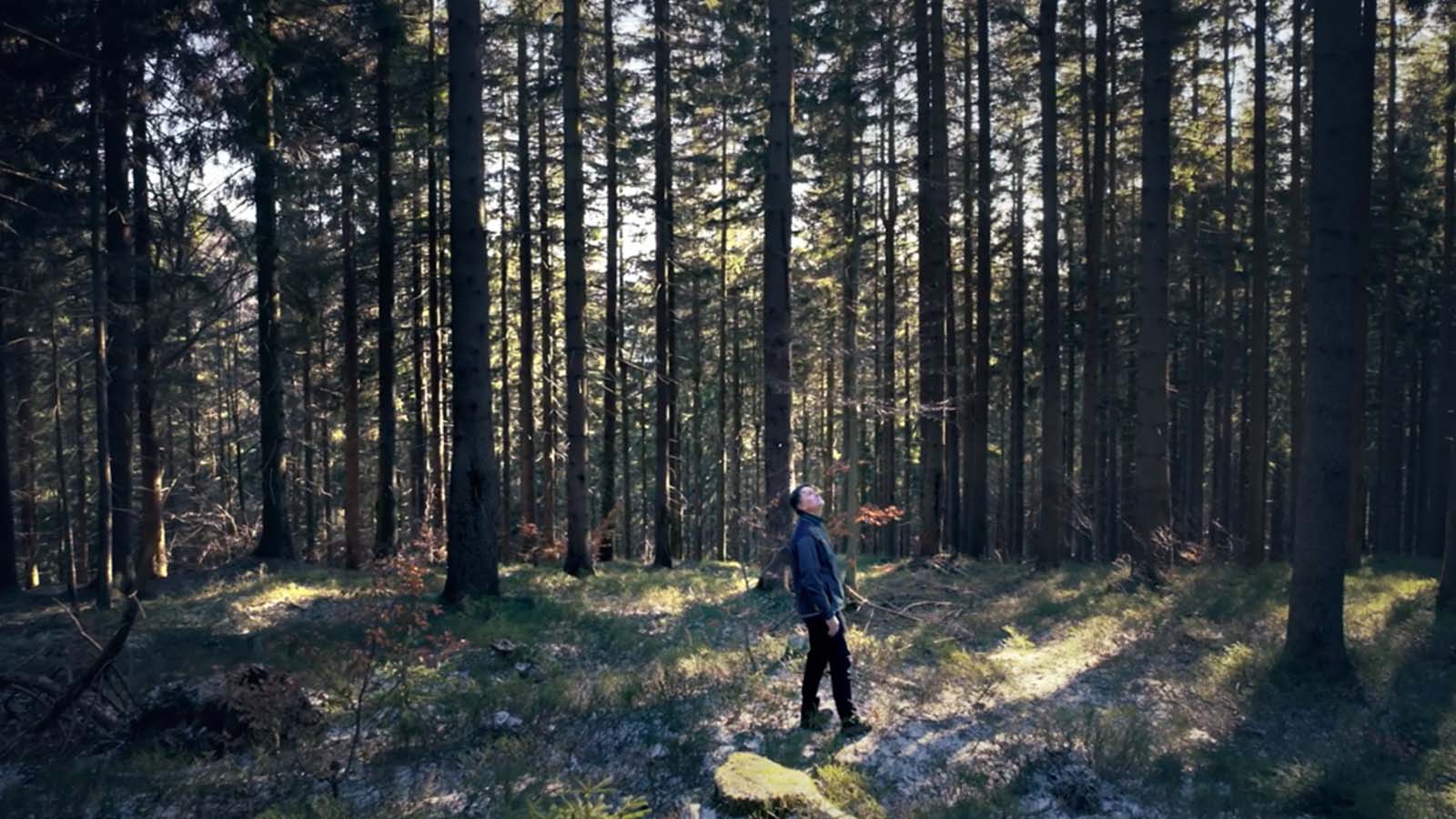 Hyundai Motor's brand campaign, Tree Correspondents