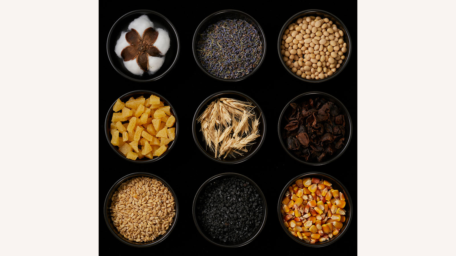 Hyundai CRADLE Partners with UNCAGED Innovations to Develop Sustainable Leather Alternatives for Vehicles