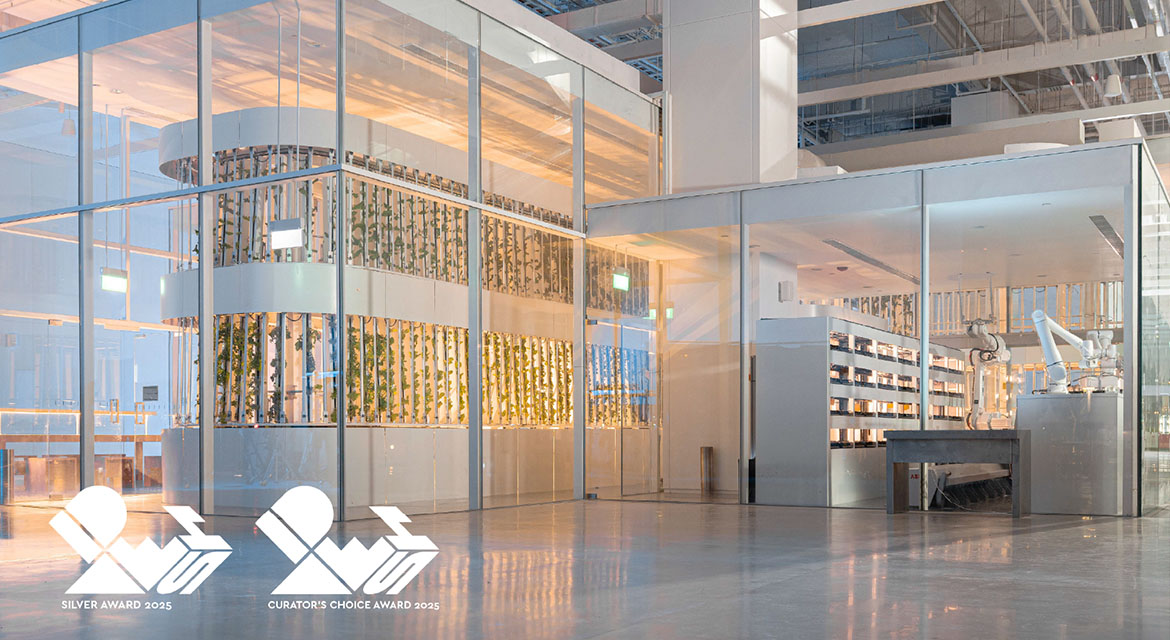 2025 IDEA Silver and Curator's Choice