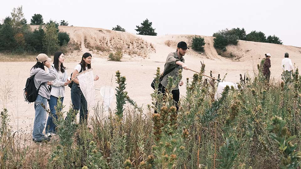 The Regeneration Studio