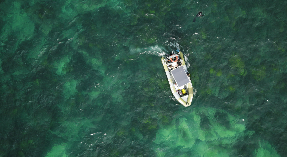 ‘Forests Without Names’ campaign aims to increase awareness of the underwater ecosystems and reinforce Hyundai Motor’s long-term marine conservation efforts