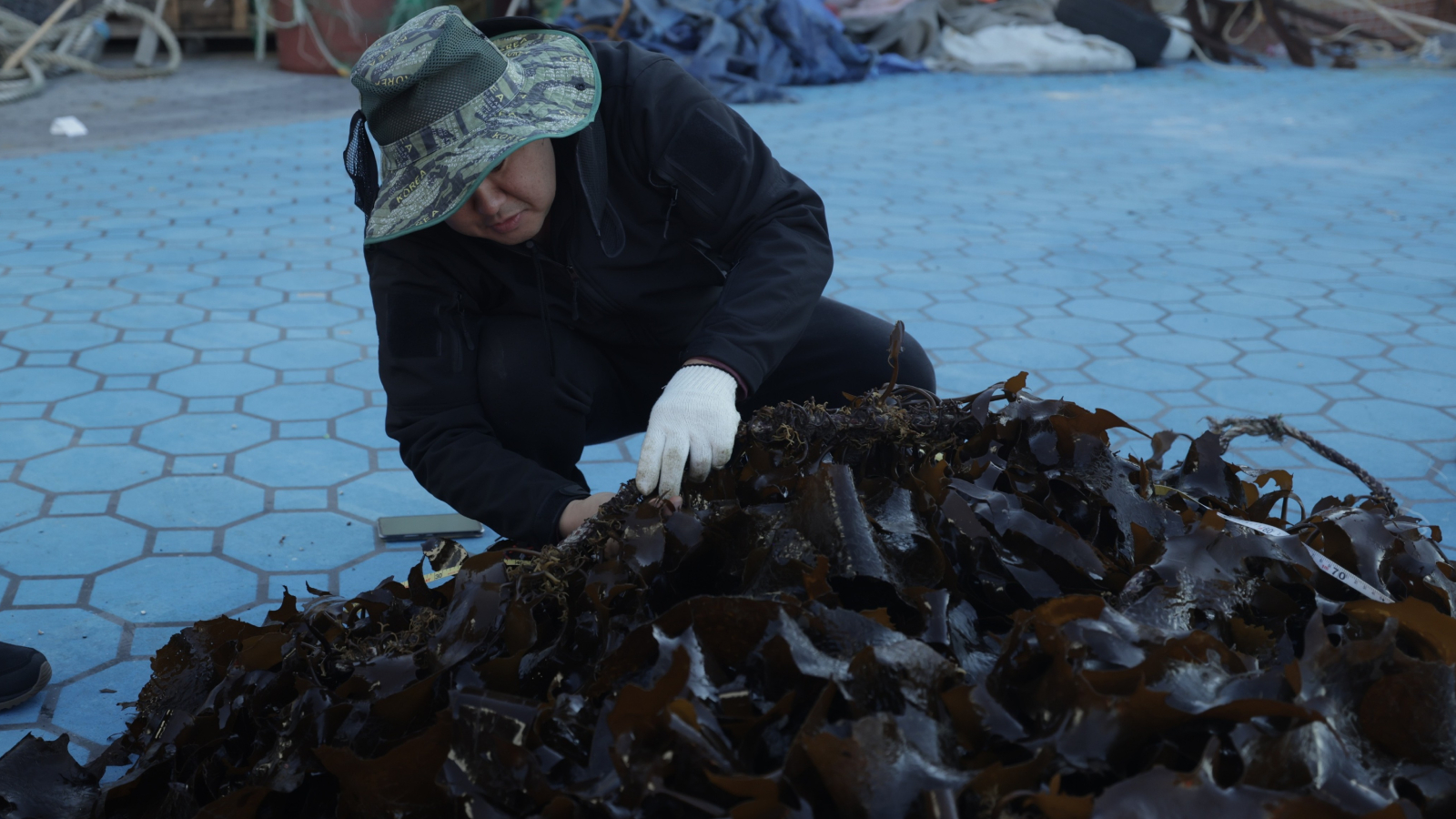 Hyundai Motor has been restoring seaweed forests in Ulsan since 2024 under agreements with Korea's Ministry of Oceans and Fisheries, the Korea Fisheries Resources Agency and Ulsan Metropolitan City