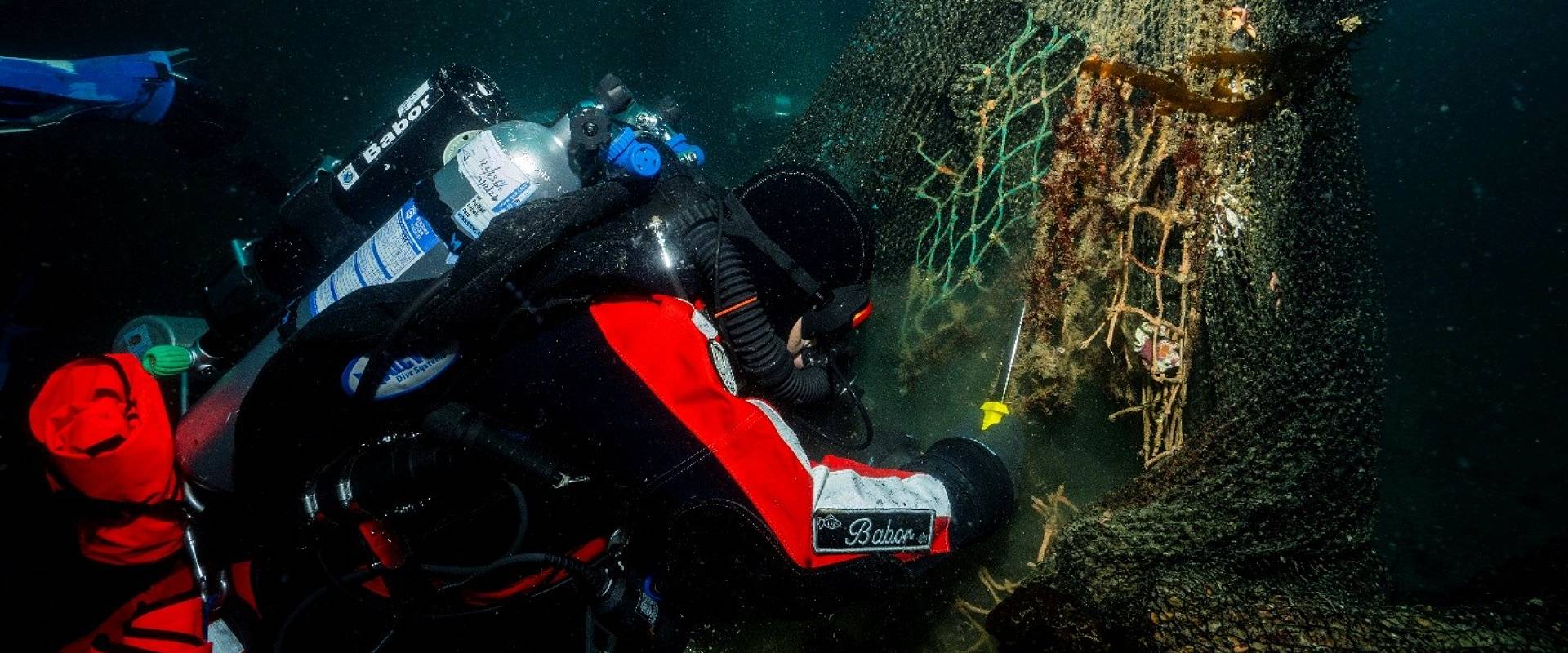 Hyundai x Healthy Seas_Ghost Diving